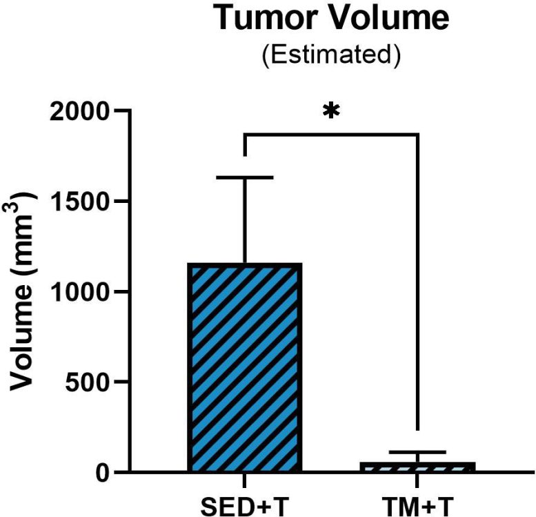 Exercice de comparaison des volumes tumoraux
