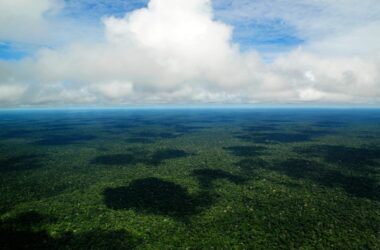 Brazilian Amazon Aerial View
