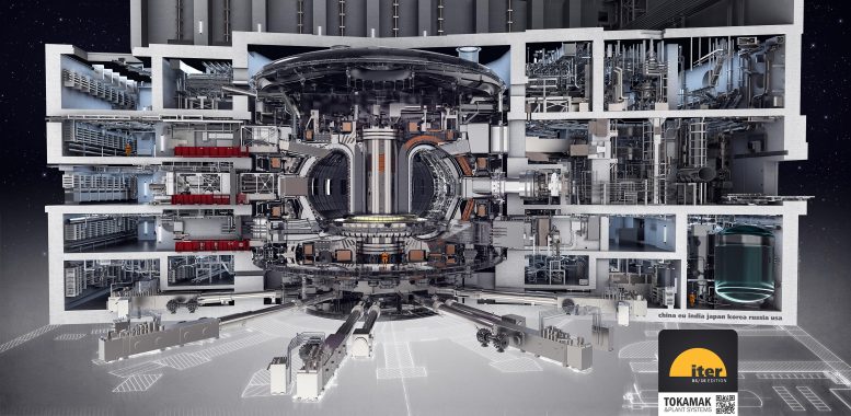 ITER Fusion Reactor Diagram