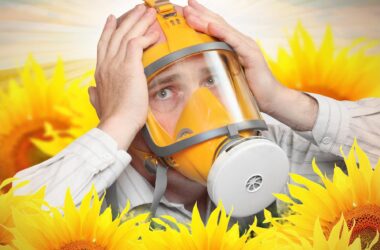 Hay Fever Pollen Allergies Concept