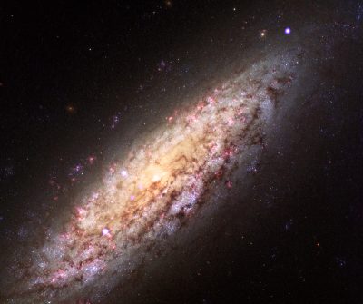 Composite NGC 6503