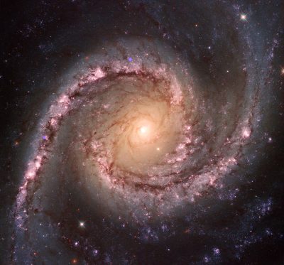 Composite NGC 1566