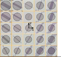 Micrographies optiques Cellules de mésostructure du tenseur de surface
