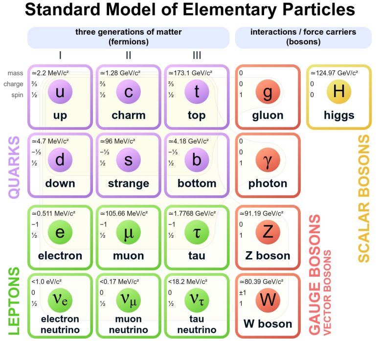 Modèle standard des particules élémentaires Graphique