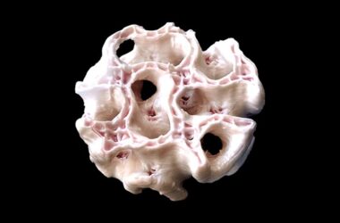 3D Bioprinting Artificial Bone