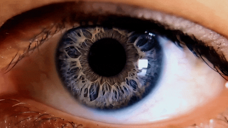 Concept de mise au point de l'iris de l'œil humain