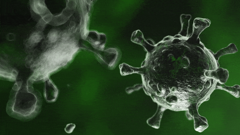 Concept de mutation des coronavirus