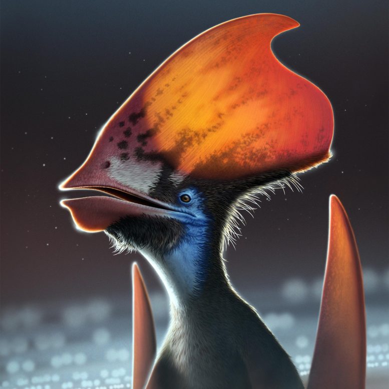 Ptérosaure à plumes Tupandactylus Crop
