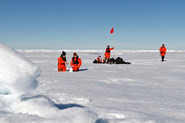 Échantillonnage de la glace de mer arctique