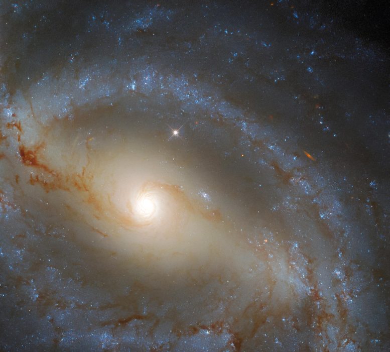 Galaxie NGC 5921