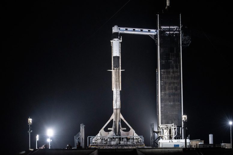 Fusée Falcon 9 de SpaceX avec l'équipage Dragon Endeavour à son sommet