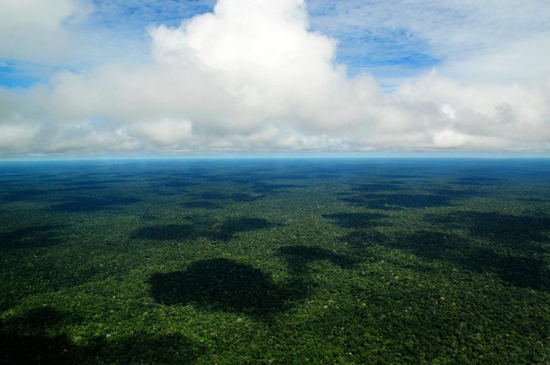 Vue aérienne de l'Amazonie brésilienne
