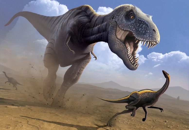 T. Rex chassant l'Ornithomimus