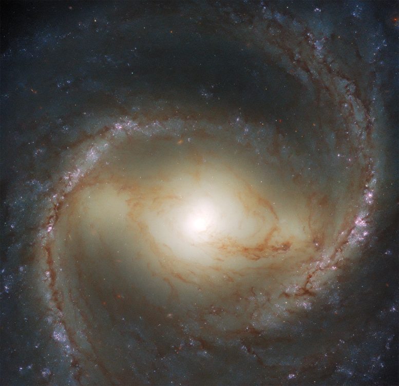 Galaxie spirale M91