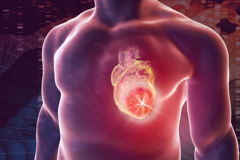 Concept de génétique des maladies cardiaques