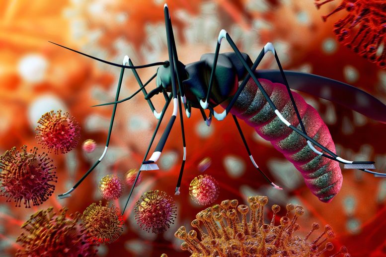 Illustration conceptuelle du virus Zika Malaria Moustique