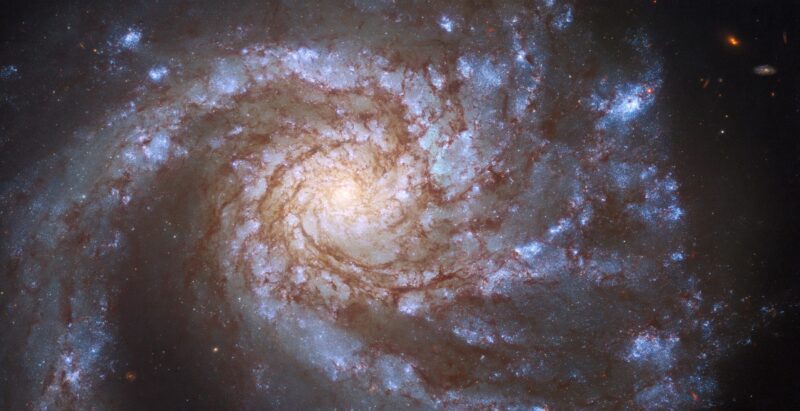 Hubble voit un double dans M99 - une galaxie spirale de "grande conception".