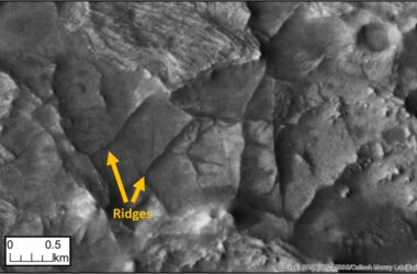 Unusual Ridge Networks on Mars