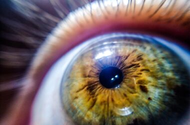 Close Up of Human Eye