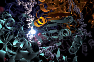SLAC Enzyme Visuals