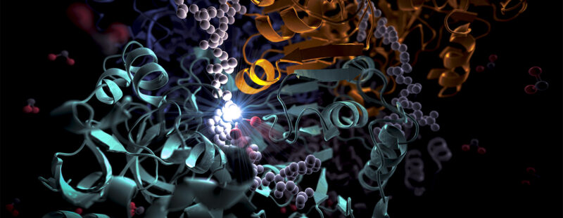SLAC Enzyme Visuals