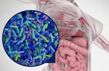 Illustration of Human Gut Microbiome