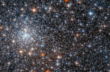 Hubble aperçoit un spectaculaire rassemblement d'étoiles scintillantes