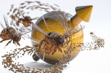 Dynamique des systèmes quantiques complexes et le vol de l'abeille