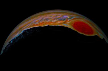 Rose Jupiter Great Red Spot