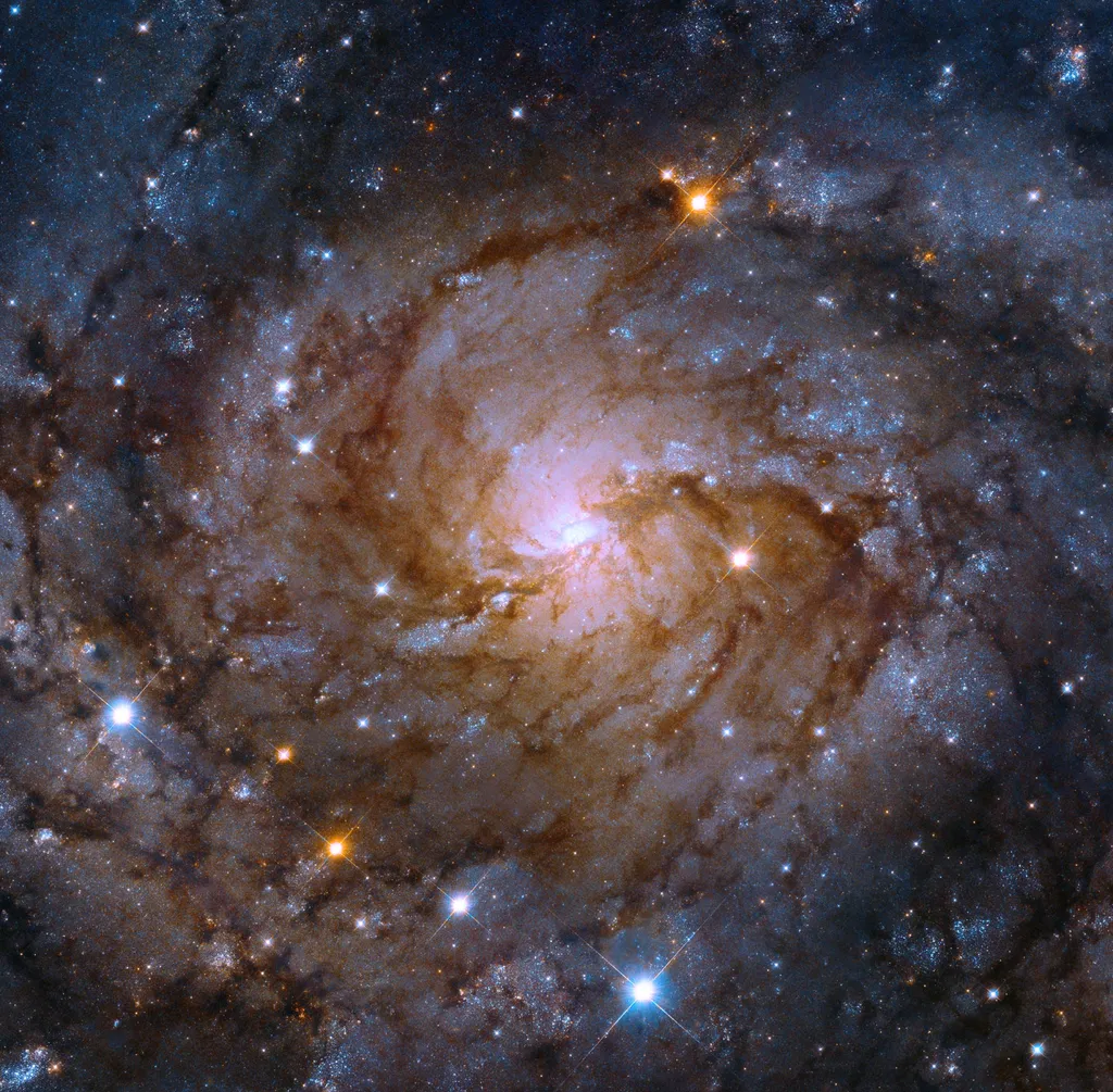 Galaxie spirale IC 342