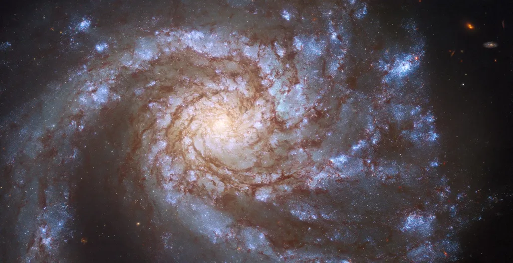 Galaxie spirale M99
