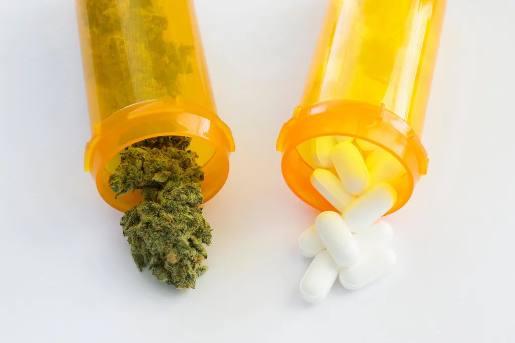 Cannabis et pilules médicinales