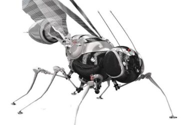 DeepFly3D Robot Fly Illustration