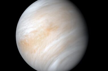 Venus From Mariner 10