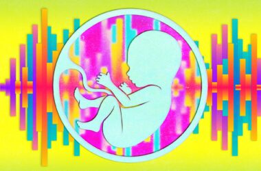Fetus Auditory Development