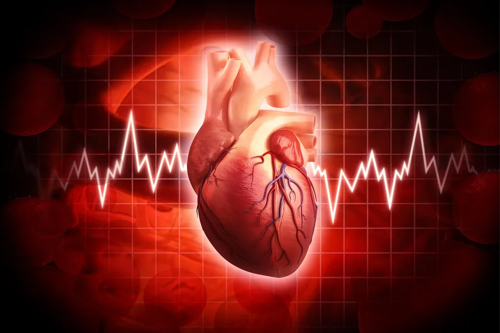 Concept de cardiologie du coeur humain