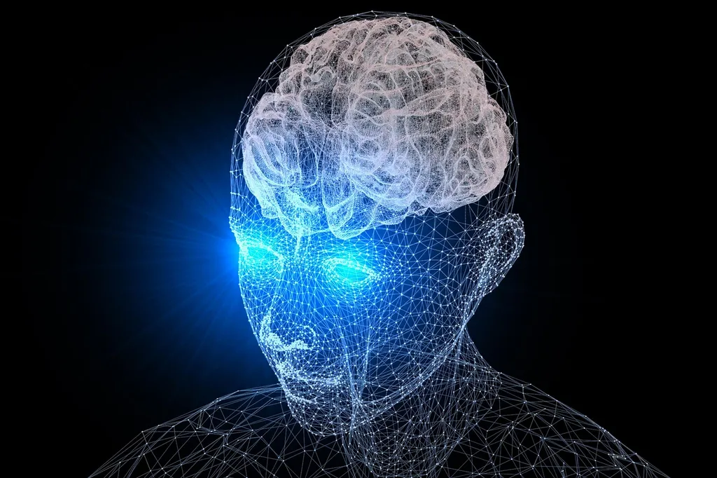 Neuroscience Cerveau Vision Concept