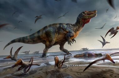 Le plus grand dinosaure prédateur d'Europe mis au jour sur l'île de Wight