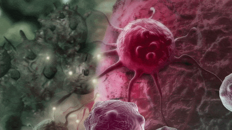 Illustration d'une cellule cancéreuse en voie de désintégration
