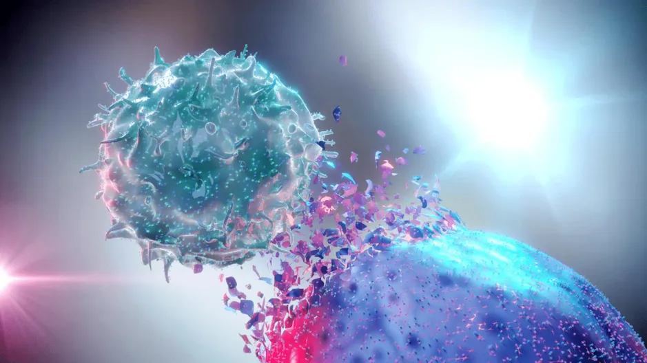 Illustration d'une cellule tueuse naturelle détruisant une cellule cancéreuse