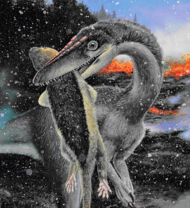 L'étude d'une ancienne extinction de masse révèle que les dinosaures ont envahi la Terre dans un climat de glace et non de chaleur.