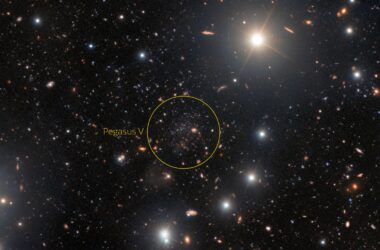 Ultra-Faint Dwarf Galaxy Pegasus V