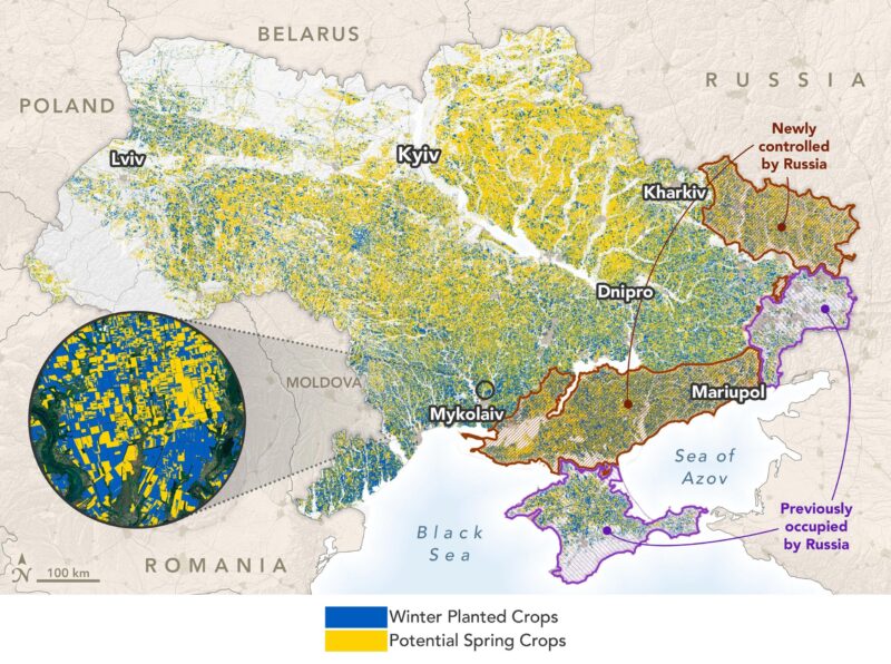 Conflit Russie-Ukraine : Mesurer les effets de la guerre sur un grenier à blé mondial