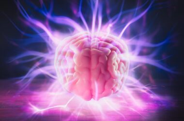 Human Brain Power Energy Concept