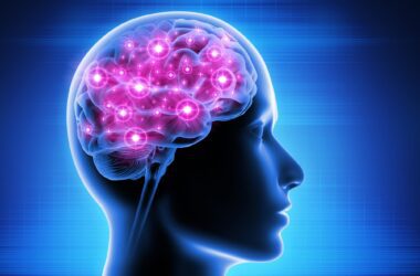 Consciousness Brain Activity