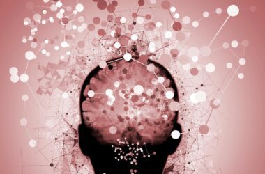 Neuroscience Brain Mapping Confusion Dementia