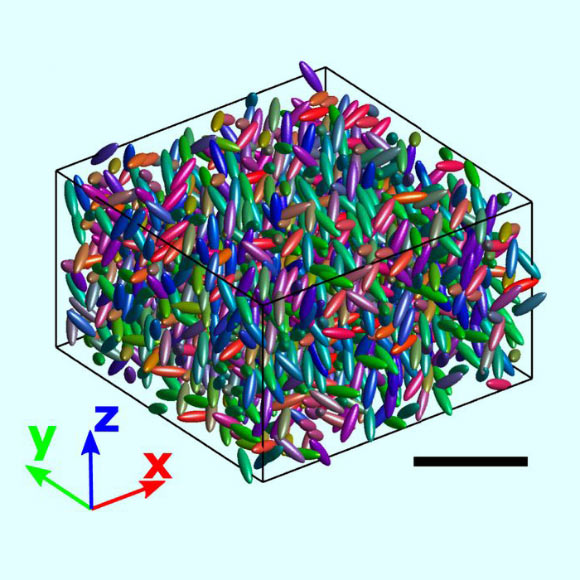 Reconstruction 3D rendue par ordinateur d'un sous-ensemble du volume d'un échantillon, la valeur rouge-verte-bleue de la couleur indiquant les orientations des particules. Barre d'échelle - 20 μm. Crédit d'image : Roller et al, doi : 10.1073/pnas.2018072118.