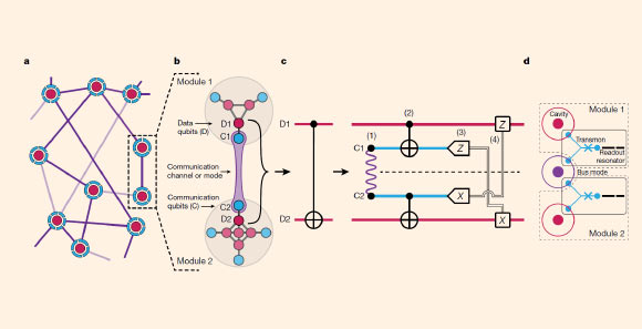 Construction d'une architecture modulaire et d'une porte téléportée : (a) vue d'ensemble du réseau de l'architecture quantique modulaire ; les modules sont représentés comme des nœuds d'un réseau quantique et sont composés de qubit(s) de données (magenta) et de qubit(s) de communication (cyan) ; le couplage entre les modules est généré par des canaux de communication reconfigurables qui peuvent être activés (lignes violettes foncées) ou désactivés (lignes violettes claires) ; (b) modules quantiques ; chaque module abrite un petit processeur quantique capable d'effectuer des opérations de haute fidélité entre les qubits de données et les qubits de communication ; dans l'expérience, Chou et al créent deux modules, chacun composé d'un qubit de données (D1 et D2) et d'un qubit de communication (C1 et C2) ; (c) circuit téléporté entre D1 et D2 ; le circuit téléporté nécessite : (1) une intrication entre C1 et C2 (méandre violet), (2) des opérations locales, (3) une mesure de C1 dans la base Z et de C2 dans la base X, où X et Z sont des opérateurs de Pauli, et (4) une communication classique (lignes doubles) et des opérations de feedforward ; (d) réalisation expérimentale (vue de dessus schématique) dans une implémentation circuit-électrodynamique quantique 3D ; chaque module est constitué d'un qubit de données défini comme une cavité 3D coaxiale d'un quart de longueur d'onde (λ/4) (magenta), d'un qubit de communication défini comme un qubit transmon en forme de Y (cyan) et d'un résonateur de lecture stripline λ/2 quasi-planaire filtré par Purcell (noir) ; dans cette expérience, les deux modules sont reliés par un mode supplémentaire réalisé comme une cavité 3D coaxiale λ/4 (violet) qui sert de mode bus. Crédit image : Chou et al, doi : 10.1038/s41586-018-0470-y.