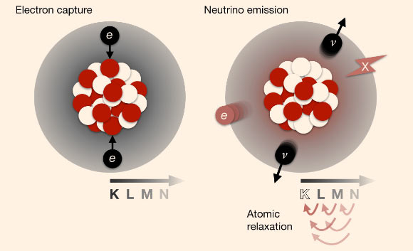 Schéma de la double capture d'électrons par deux neutrinos : dans ce processus, le noyau capture deux électrons de la coquille atomique (noir), généralement de la coquille K, et convertit simultanément deux protons (rouge) en neutrons (blanc) ; deux neutrinos (noir) sont émis dans le processus nucléaire et emportent la majeure partie de l'énergie de désintégration tandis que la coquille atomique reste dans un état excité avec deux trous dans la coquille K ; une cascade de rayons X (rouge, 'X') et d'électrons Auger (rouge, 'e') est émise pendant la relaxation atomique, lorsque la coquille K est remplie à partir des coquilles L, M et N de plus haute énergie ; à leur tour, des lacunes sont créées dans les coquilles qui se remplissent et sont remplies d'électrons provenant des coquilles de plus haute énergie (flèches). Crédit image : Collaboration XENON.
