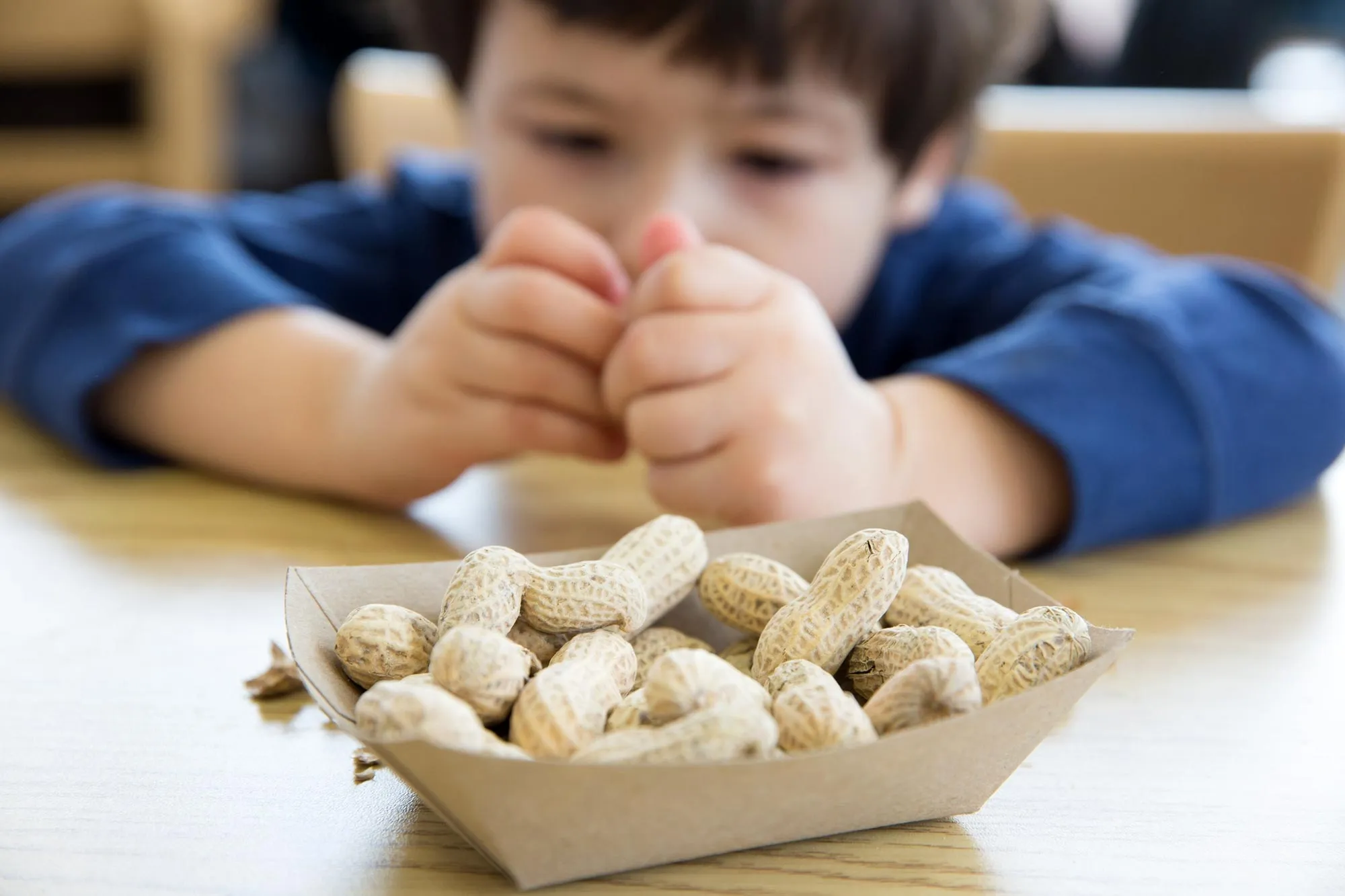 Un enfant mangeant des cacahuètes